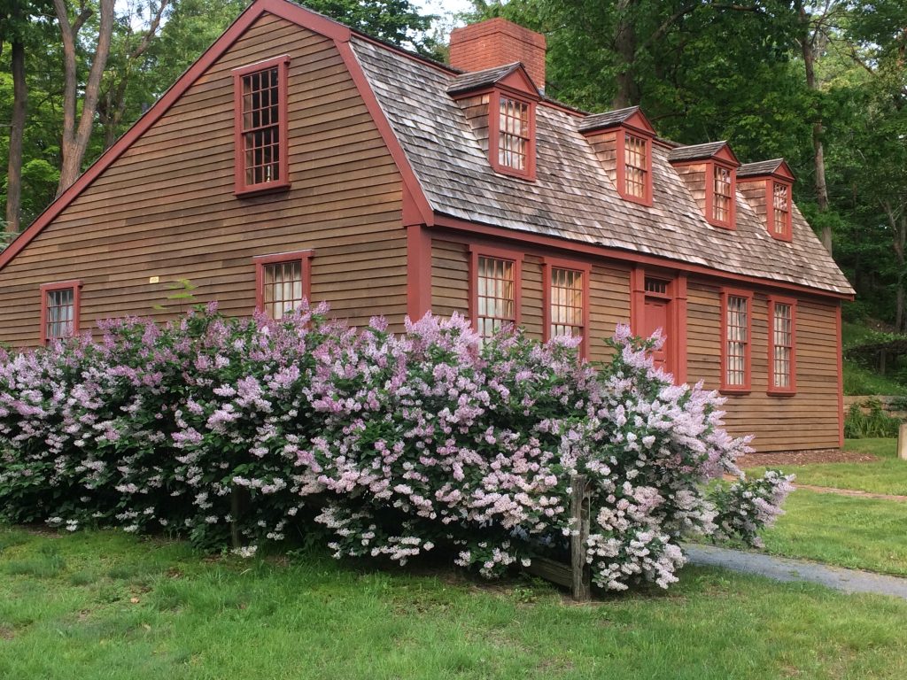 Abigail Adams Birthplace - Spring